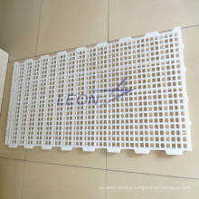 Goat plastic slat floor for chicken farm equipment